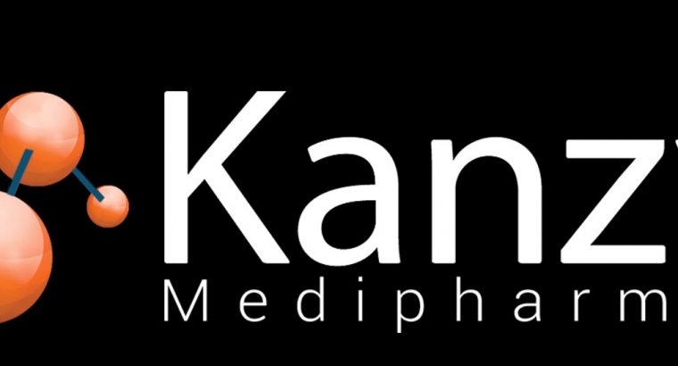 KANZY GROUP